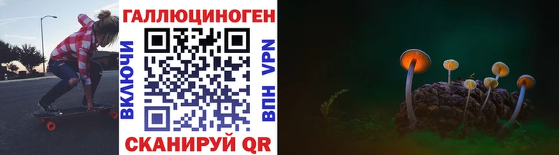 купить наркотики цена Кирово-Чепецк ОМГ ОМГ как войти Псилоцибиновые грибы Psilocybe